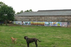 2008-07-05bis-8