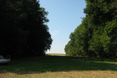2008-10-11-02