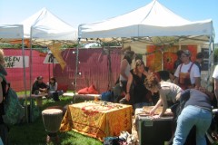 2009-05-30-MixUpFestival-02