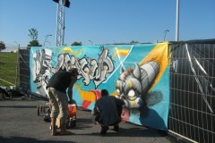 2009-05-30-MixUpFestival-19