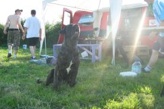 2009-07-04-VacheVerte4-06