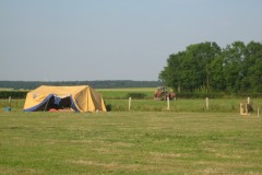 2009-07-04-VacheVerte4-08
