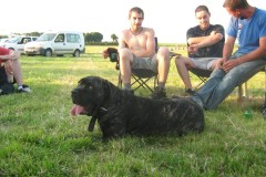2009-07-04-VacheVerte4-19