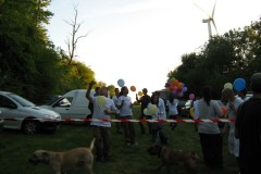 2010-05-22-39