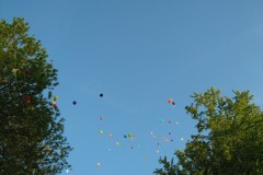 2010-05-22-46