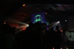 2011-01-08-28