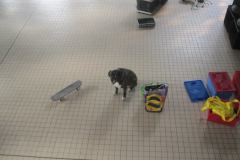 2014-03-01-03