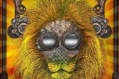 2015-02-06-00-fly01