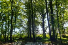 20260620_101821-scaled